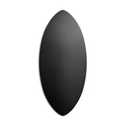 Skimboard  in Black/white