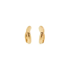 Women's Loop Earrings in Gold